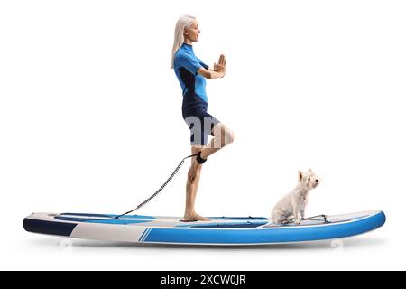 Plan de profil pleine longueur d'une femme en combinaison faisant du yoga sur un SUP avec un chien isolé sur fond blanc Banque D'Images