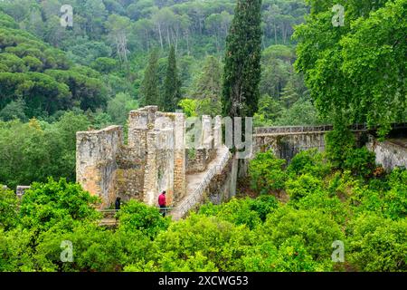 Personnes sur les fortifications Château de Tomar, Tomar Château, construit par les Chevaliers Templiers, site du patrimoine mondial de l'UNESCO, couvent du Christ à Tomar, Portugal Banque D'Images