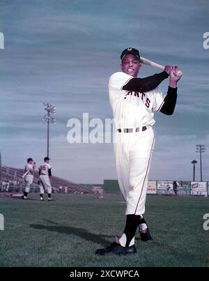 Phoenix, Arizona, États-Unis. 18 juin 2024. WILLIE MAYS #24 des Giants de New York lors de l'entraînement de pré-saison des batteurs en mars 1955 au Phoenix Municipal Stadium de Phoenix, Arizona. Crédit : globe photos/ZUMA Wire/Alamy Live News Banque D'Images