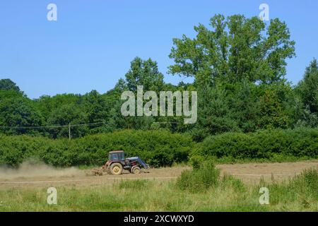 tracteur laisse un nuage de poussière tout en assemblant et retournant des lignes d'herbe coupée dans le champ prêt pour la mise en balles du comté de zala hongrie Banque D'Images