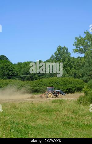 tracteur laisse un nuage de poussière tout en assemblant et retournant des lignes d'herbe coupée dans le champ prêt pour la mise en balles du comté de zala hongrie Banque D'Images