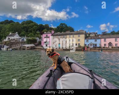 Un Border terrier sur un kayak gonflable descendant la rivière Dart dans le Devon et se dirigeant vers Dittisham avec ses maisons colorées Banque D'Images