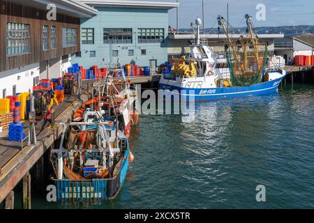 Bateaux de pêche colorés amarrés le long du quai à Brixham, qui abrite le marché aux poissons de Brixham Banque D'Images