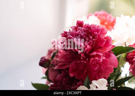 Belles pivoines de différentes couleurs dans un vase en verre sur le rebord de la fenêtre Banque D'Images