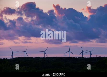 Une rangée d'éoliennes à l'horizon dans le sud des Cornouailles contre un ciel d'été rose au coucher du soleil. Banque D'Images