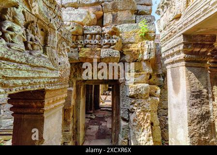 Ruines mystérieuses de l'ancien temple de Preah Khan dans l'incroyable Angkor au soleil du matin. Siem Reap, Cambodge. Énigmatique Preah Khan niché dans la forêt tropicale. Banque D'Images