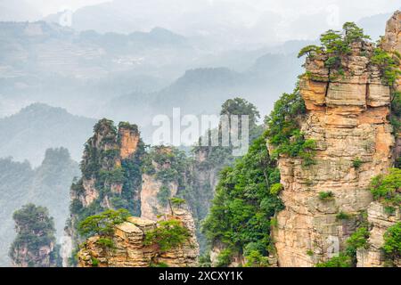 Piliers de grès de quartz naturel des montagnes Tianzi (montagnes Avatar) dans le parc forestier national de Zhangjiajie, province du Hunan, Chine. Banque D'Images