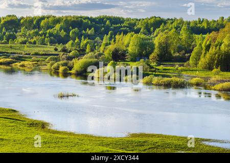 Rivière Sorot sur une journée d'été ensoleillée, paysage rural russe Banque D'Images