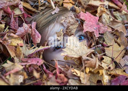 Petite fille regardant la caméra tout en se cachant parmi les feuilles d'automne dans différentes nuances de jaune, orange, rouge, violet et brun. Elle est au parc, vi Banque D'Images