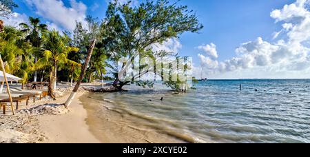 Plage de sable sur Isla Mujeres, Yucatan, Mexique Banque D'Images