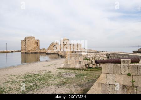 Liban, Saida, château de mer Banque D'Images