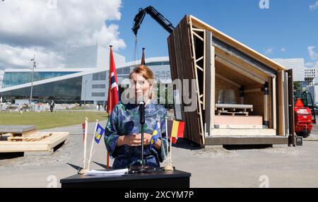 Oslo, Norvège. 19 juin 2024. Le secrétaire d’Etat de la région bruxelloise ans Persoons prononce un discours lors d’une réunion sur le développement durable dans la construction, le défi Icebox et le développement durable dans la construction, dans le cadre d’une mission économique en Norvège, mercredi 19 juin 2024. La Princesse belge dirige une délégation belge pour discuter de la transition énergétique, de l’économie circulaire, des sciences de la vie et du design au cours des quatre prochains jours. BELGA PHOTO BENOIT DOPPAGNE crédit : Belga News Agency/Alamy Live News Banque D'Images