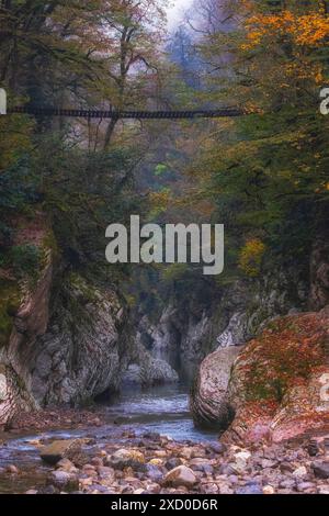 Porte du diable dans la gorge dans la bosquet de Tiso dans la ville de Sotchi en bel automne Banque D'Images