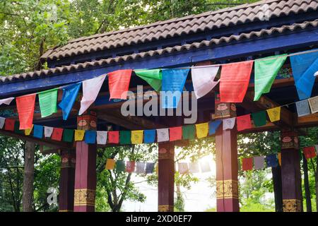 Drapeaux de prière bouddhistes tibétains vole sur le vent sur fond d'arbres. Soleil visible à travers de nombreux drapeaux de prière colorés. Banque D'Images