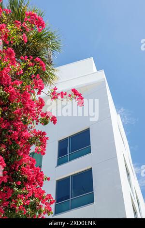 Miami Beach Floride, New World Symphony NWS Center centre, architecte Frank Gehry, extérieur extérieur, bougainvilliers en fleurs, visiteurs visitant voyage Banque D'Images