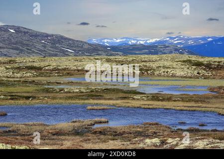 Massif montagneux entoure la vallée de la rivière Inna dans l'Innerdalen ( Innset) situé dans la municipalité de Rennebu, Norvège Banque D'Images