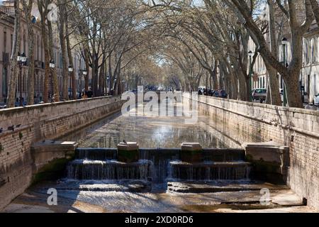 Nîmes, France - 21 mars 2019 : le Quai de la Fontaine, un agréable canal ombragé par les hackberry, peuplé de cygnes et bordé de nobles demeures, Banque D'Images