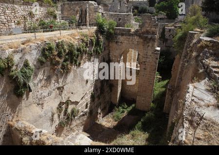 Mur plâtré gauche de la piscine de Bethesda avec Hyssop sur elle où Jésus Christ a guéri un homme handicapé et les ruines d'une église byzantine, Jérusalem Israël Banque D'Images