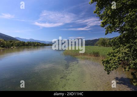 Tegernsee, Bayern, Deutschland 18. Juni 2024 hier der Blick auf den Tegernsee Landkreis Miesbach hier BEI Gmund am Ausfluss der Mangfall, Mangfallsteg *** Tegernsee, Bavière, Allemagne 18 juin 2024 Voici la vue du quartier Tegernsee de Miesbach près de Gmund à la sortie de la Mangfallsteg Banque D'Images