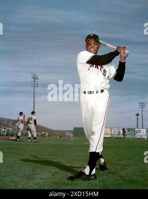 18 juin 2024 : WILLIE MAYS, le dynamique Hall of Famer du baseball qui a brillé dans toutes les facettes du jeu et a fait une prise dramatique dans les World Series 1954, est décédé à l'âge de 93 ans, a annoncé les Giants de San Francisco sur les médias sociaux. PHOTO DU DOSSIER : Phoenix, Arizona, États-Unis : WILLIE MAYS #24 des Giants de New York lors de l'entraînement de pré-saison de frappe en mars 1955 au Phoenix Municipal Stadium. (Crédit image : © Globe photos/ZUMA Press Wire) USAGE ÉDITORIAL SEULEMENT! Non destiné à UN USAGE commercial ! Banque D'Images