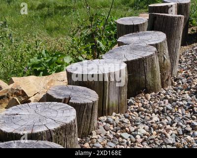 Un chemin de bûches de bois altérées disposées en ligne, créant un chemin naturel de pierre d'escalier à travers une prairie herbeuse. Banque D'Images