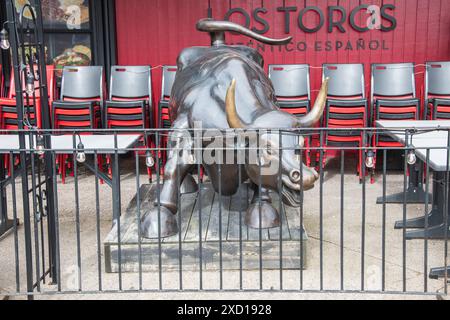 Restaurant Los Toros sur la rue George au centre-ville de Halifax, Nouvelle-Écosse, Canada Banque D'Images