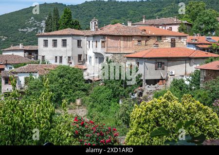 Panorama du village historique d'Ampelakia, Larissa, Thessalie, Grèce Banque D'Images