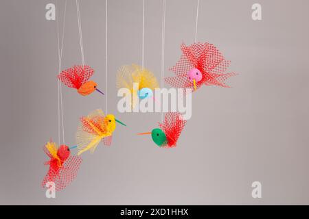 Tutoriel de colibri artisanal d'été, facile pour les enfants, bricolage, fabriqué à partir d'arachides et de filets végétariens, concept de recyclage, six petits oiseaux Banque D'Images