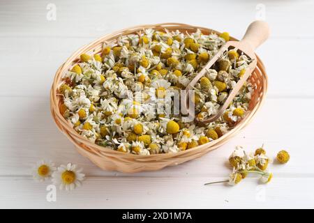 Fleurs de camomille sèches et fraîches avec cuillère dans un panier en osier sur une table en bois blanc Banque D'Images