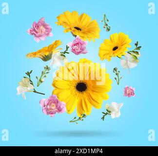 Gerberas jaunes et autres belles fleurs dans l'air sur fond bleu clair Banque D'Images