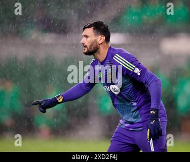 Austin, Texas, États-Unis. 19 juin 2024. Le gardien de but du Los Angeles FC Hugo Lloris (1) lors d'un match de football de la Major League le 19 juin 2024 à Austin. Le match a terminé un match nul de 1-1 après que LAFC a marqué un égaliseur à la 90e minute. (Crédit image : © Scott Coleman/ZUMA Press Wire) USAGE ÉDITORIAL SEULEMENT! Non destiné à UN USAGE commercial ! Crédit : ZUMA Press, Inc/Alamy Live News Banque D'Images