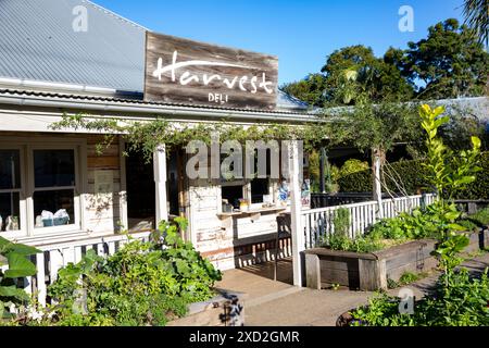 Newrybar Australia, Harvest Deli et restaurant dans cette ville dans l'arrière-pays de Byron Bay, Nouvelle-Galles du Sud, Australie Banque D'Images