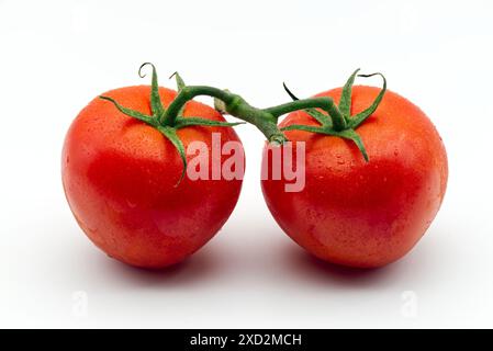 Tomates cerises rouges fraîches isolées sur fond blanc. Tomates italiennes, San Marzano, Plum ou Roma. Banque D'Images