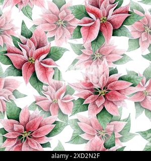 Fleurs et feuilles poinsettia traditionnelles de Noël en aquarelle vert rose motif floral sans couture sur fond blanc Banque D'Images