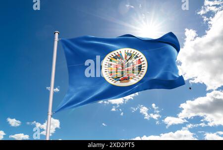 Drapeau le drapeau de l'Organisation des États américains OEA Banque D'Images