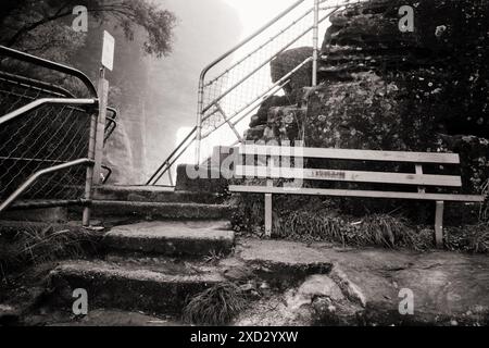 Blue Mountains, un banc en bois sur la piste Walking Giant Stairway au pont à travers la plus proche des Tree Sisters enveloppé dans un épais brouillard Banque D'Images