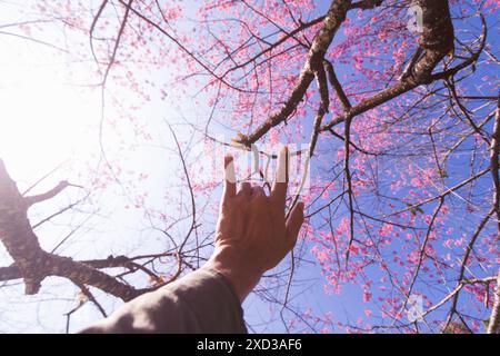 L'homme utilise le langage des signes je t'aime pour exprimer son amour et son amitié son ami et amant. Langage des signes montrant le symbole je t'aime pour exprimer l'amour f Banque D'Images