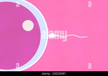 Une illustration minimaliste montrant le moment où un spermatozoïde s'approche d'un ovule, représentée sur un fond rose doux, représentant la conce Banque D'Images