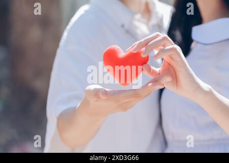 Les couples affichent des symboles en forme de cœur ensemble pour montrer leur amour et leur amitié les uns pour les autres sur leur grand jour. fabrication du symbole de coeur en forme de main à ex Banque D'Images