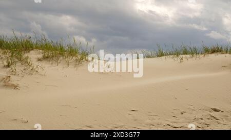 Dunes de sable sur la rive de la mer Baltique. Herbe marram (herbe de plage) poussant dans le sable. Paysage avec plage vue mer, dune de sable et herbe. Banque D'Images
