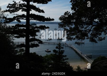 Vue sur le ponton et la promenade de Murray Rose Pool, une plage familiale de Redleaf Beach encadrée par un pin de Norfolk Island et un figuier de Moreton Bay Banque D'Images