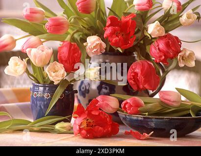 Botanique, tulipes dans des cruches et dans un bol sur une nappe en tissu, SUPPLÉMENT-DROITS-AUTORISATION-INFO-NON-DISPONIBLE Banque D'Images