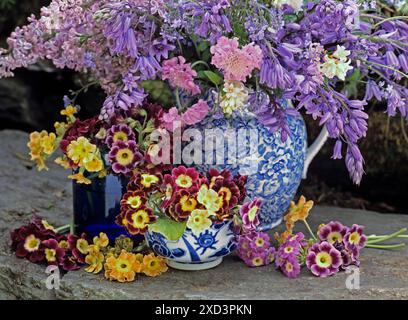 Botanique, bluebells, syringa, primula auricula, scabiosa dans un bol bleu et blanc et une cruche, DROITS-SUPPLÉMENTAIRES-AUTORISATION-INFO-NON-DISPONIBLE Banque D'Images