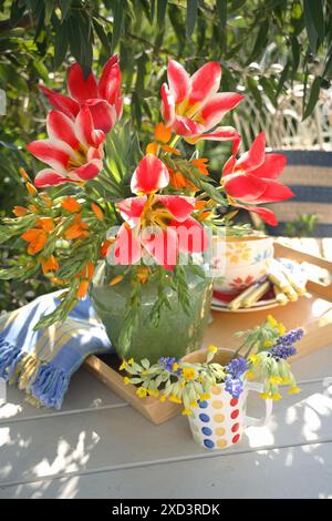 Botanique, tulipes, jacinthe de raisin et cowslips dans des cruches sur une table à l'extérieur dans un jardin, DROITS-AUTORISATION-SUPPLÉMENTAIRES-INFO-NON-DISPONIBLE Banque D'Images