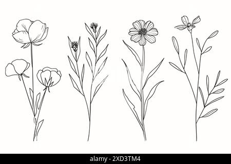 Set ligne dessinant des fleurs et des feuilles à base de plantes. Croquis abstrait dans un style vintage. Design Trendy Elements Illustration de Vecteur