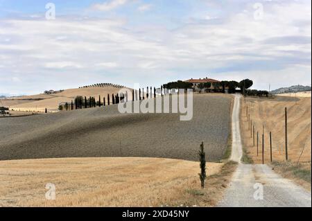 Champs de blé récoltés, paysage au sud de Pienza, Toscane, Italie, Europe, balles de foin dispersées dans un grand champ de grains dorés, Toscane, Europe Italie Banque D'Images