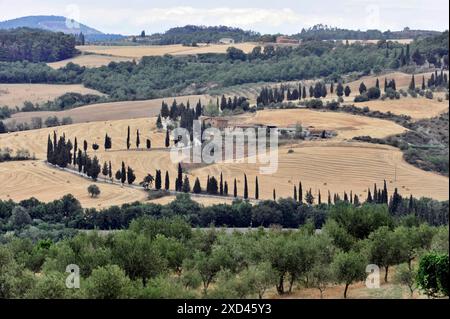 Champs de blé récoltés, paysage au sud de Pienza, Toscane, Italie, Europe, balles de foin dispersées dans un grand champ de grains dorés, Toscane, Europe Italie Banque D'Images