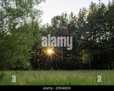 Lumière du soir, rayons de soleil tombant à travers les arbres, près de Gaishorn am See, Styrie, Autriche Banque D'Images