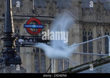 Goéland argenté (Larus argentatus) oiseau adulte décollant d'un mur avec un panneau souterrain londonien en arrière-plan, Londres, Angleterre, Royaume-Uni Banque D'Images