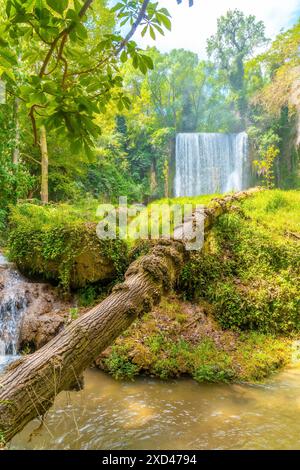 Un arbre tombé à la cascade de la Caprichosa dans le parc naturel de Monasterio de Piedra, Aragon, Espagne Banque D'Images